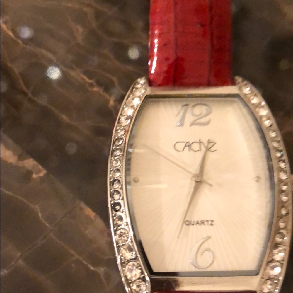 Cache Watch - image 2